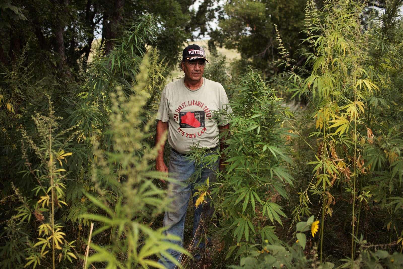 Persuasive essay on legalizing weed