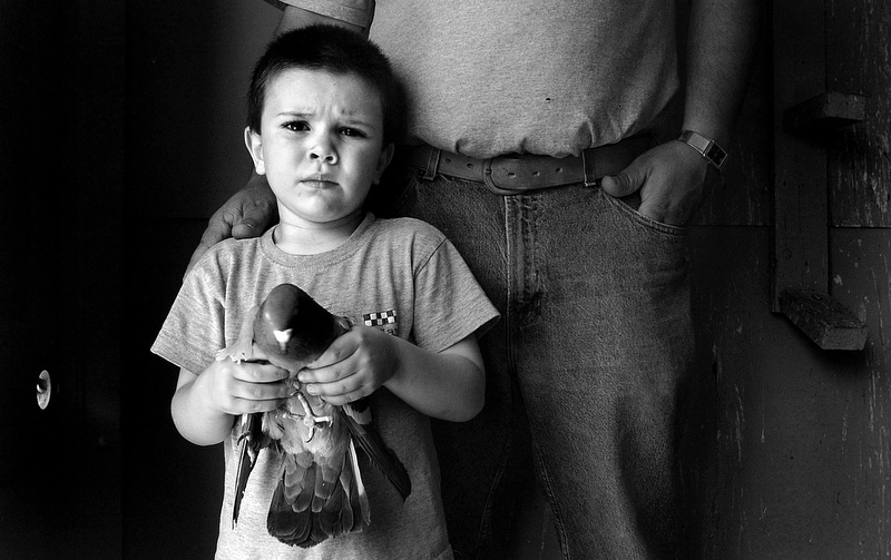 Portrait of Horacio Gomez Jr., 4, of Denver, holding a pigeon owned by his father Horacio Gomez and his uncle Fernando Gomez in a birdhouse in the backyard of Fernando's home in Denver, Colorado. They own 47 pigeons. Councilwoman Jeanne Faatz wants the city to reduce the number of pigeons residents may own. (Photo by Chris Schneider)